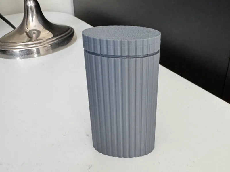 Q-tip travel case
