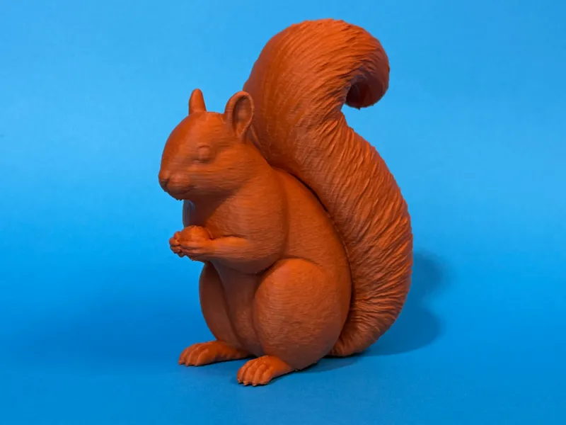 Bushy Tailed Squirrel -single color