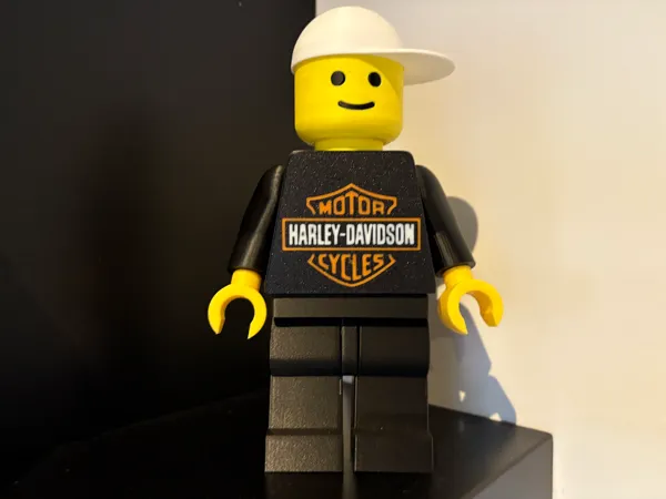 https://makerworld.bblmw.com/makerworld/model/US1379fe449e966d/design/2025-11-26_c78c84ec61a.jpg