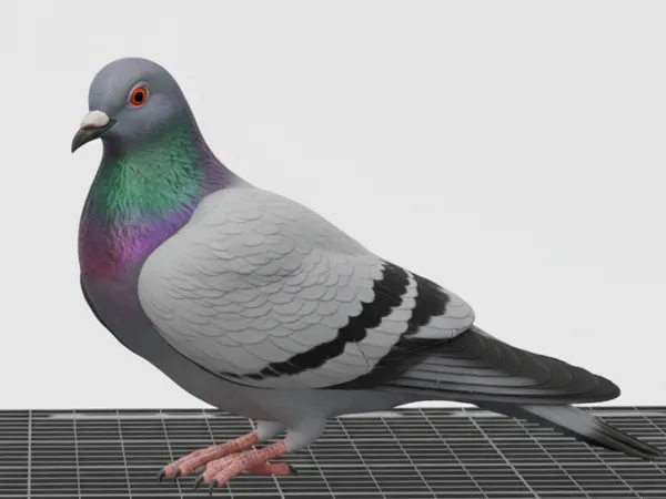 https://makerworld.bblmw.com/makerworld/model/US137afce2898989/design/2026-01-15_0356924e3eb368.png