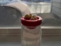 0.08mm layer, 2 walls, 15% infill