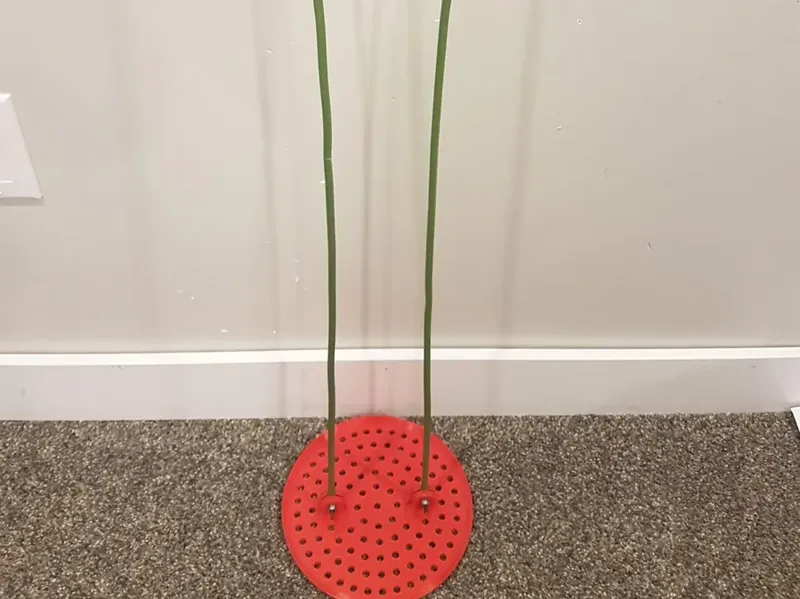 ice fishing scoop