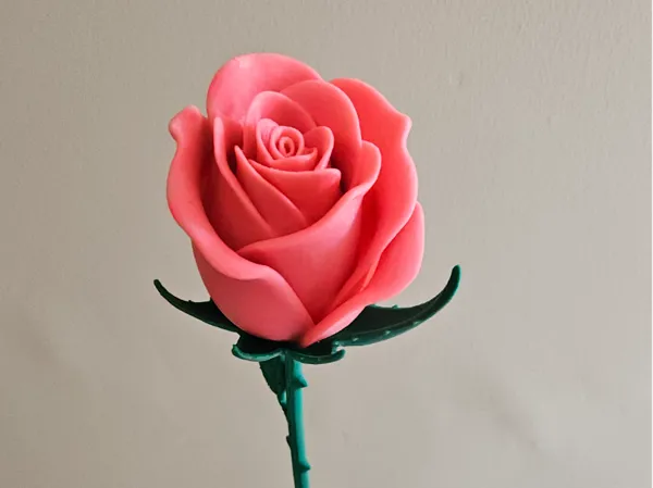 https://makerworld.bblmw.com/makerworld/model/US137c66e3c3a99a/design/77cdf35f94de9954.jpg