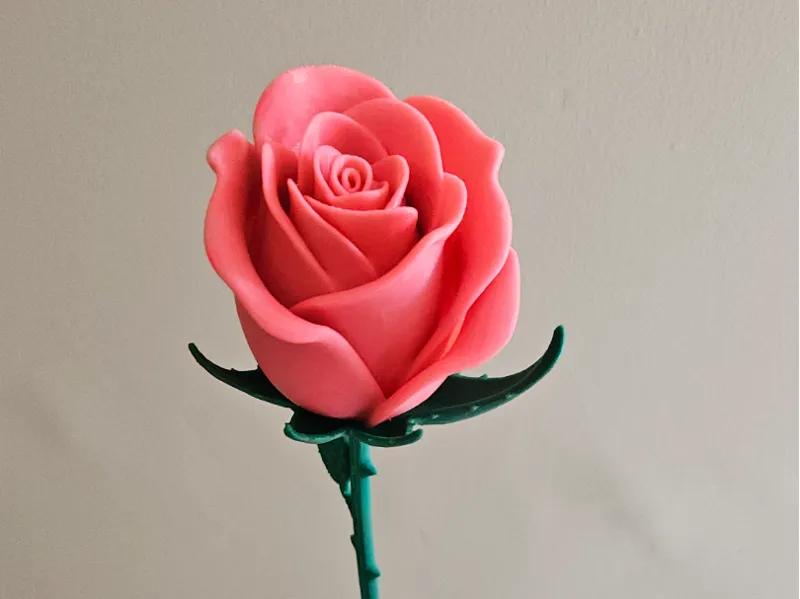 ROSA PERFETTA