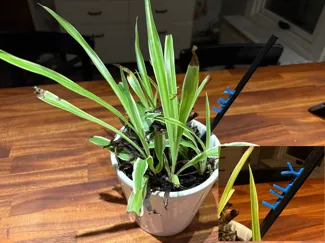Customable Plant Name Marker, with letters