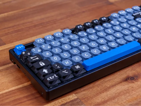 https://makerworld.bblmw.com/makerworld/model/US1383748d6b80e6/design/2024-07-27_265e95cd05ed2.jpg