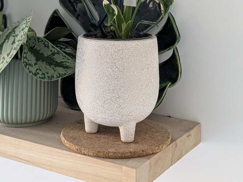 Cow Pot Planter – Moo-dern Design for Your Plants 