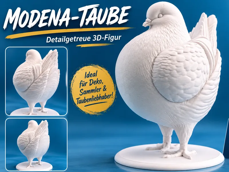 Modena-Taube – Detailgetreue 3D-Figur