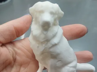 perro golden retriever