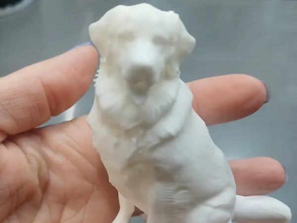 https://makerworld.bblmw.com/makerworld/model/US138e659628b88e/design/2026-01-11_e32f20e7ec78d8.jpg