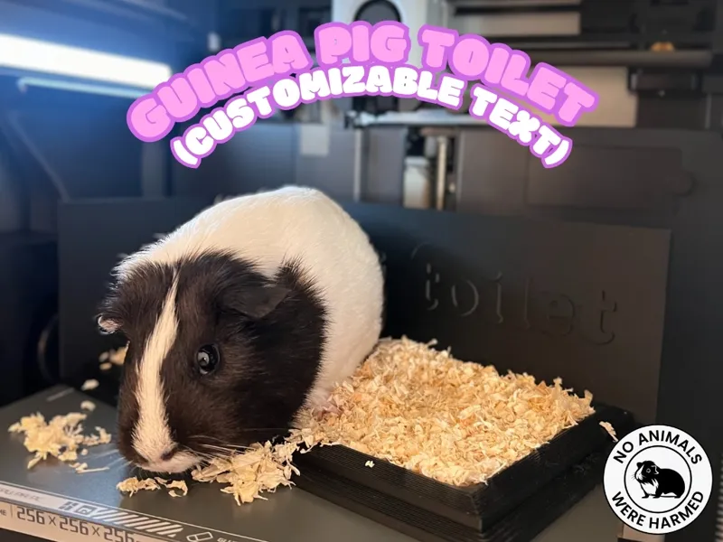Guinea Pig Toilet (customizable text)