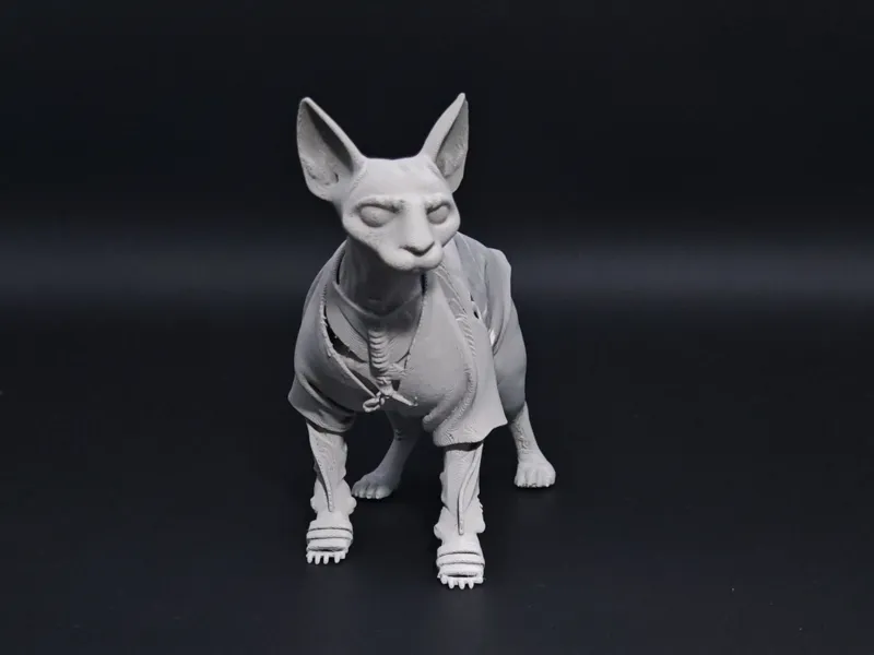 无毛猫