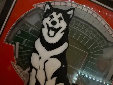 Malamute Sitting