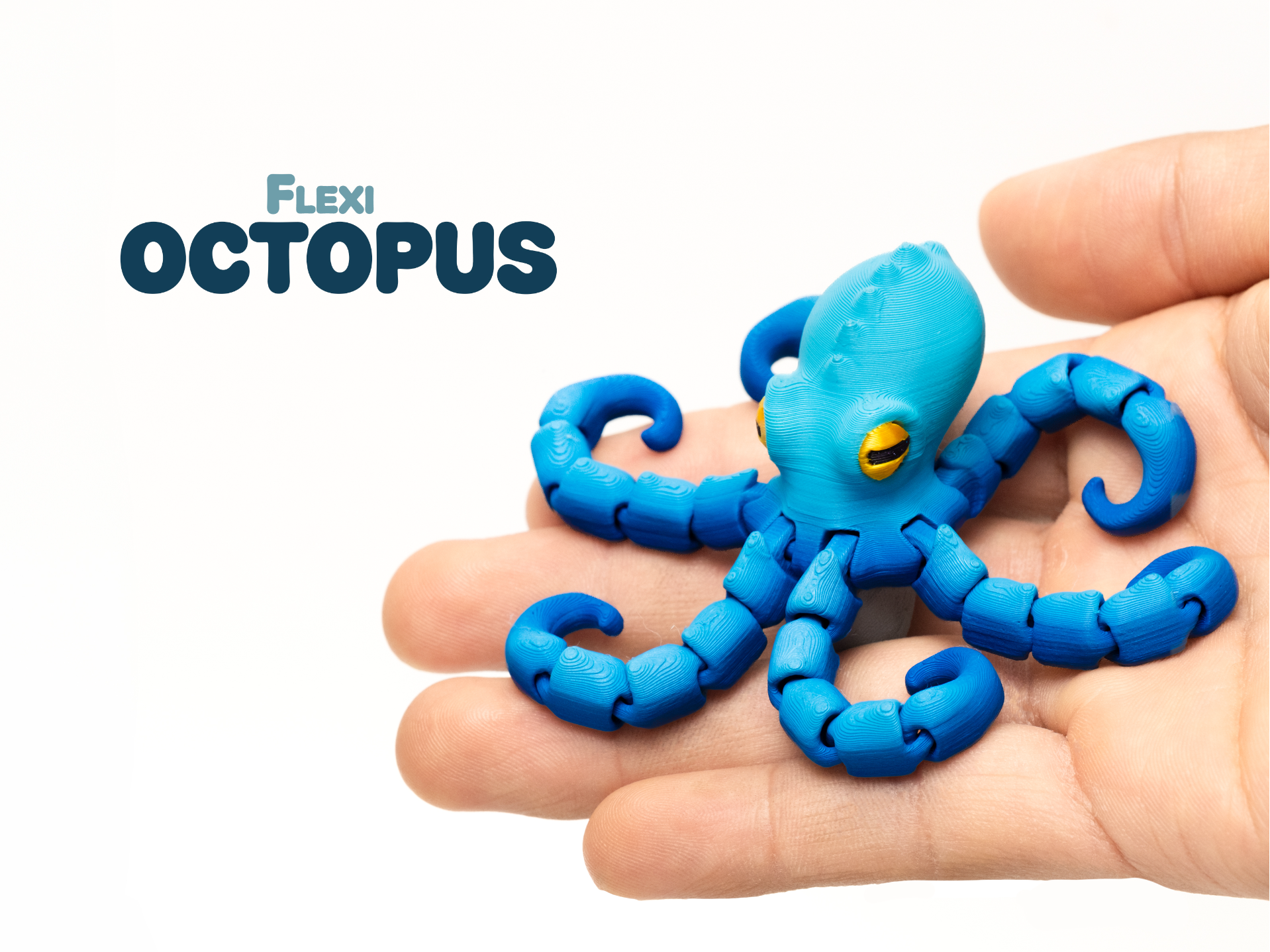 Flexi Octopus 3D model