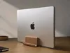Single Stand (4 variations)