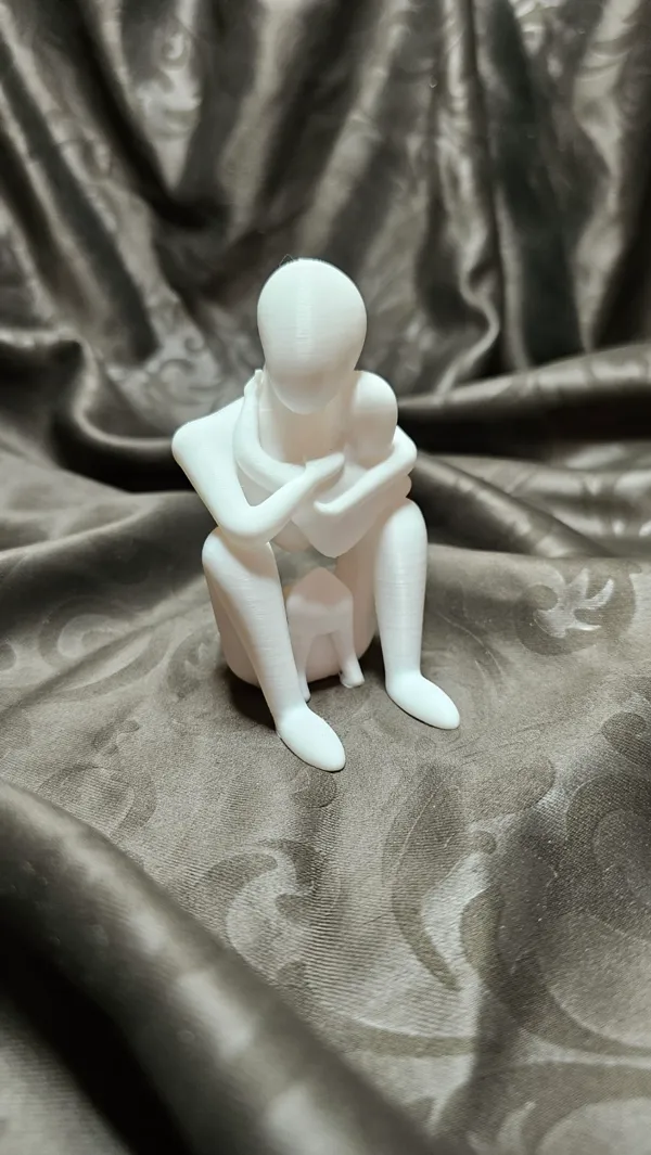 https://makerworld.bblmw.com/makerworld/model/US139bc71b7253de/design/2024-05-01_03d831b3721be.jpg