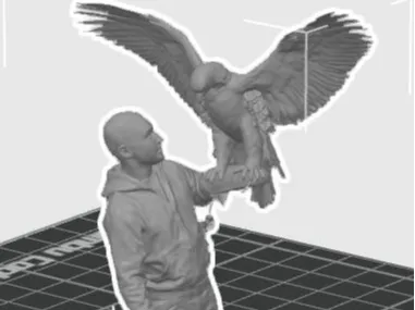 Falconiere con Aquila 