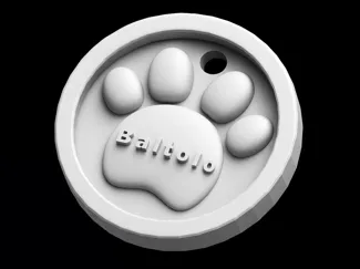 Custom_Pet_Tag