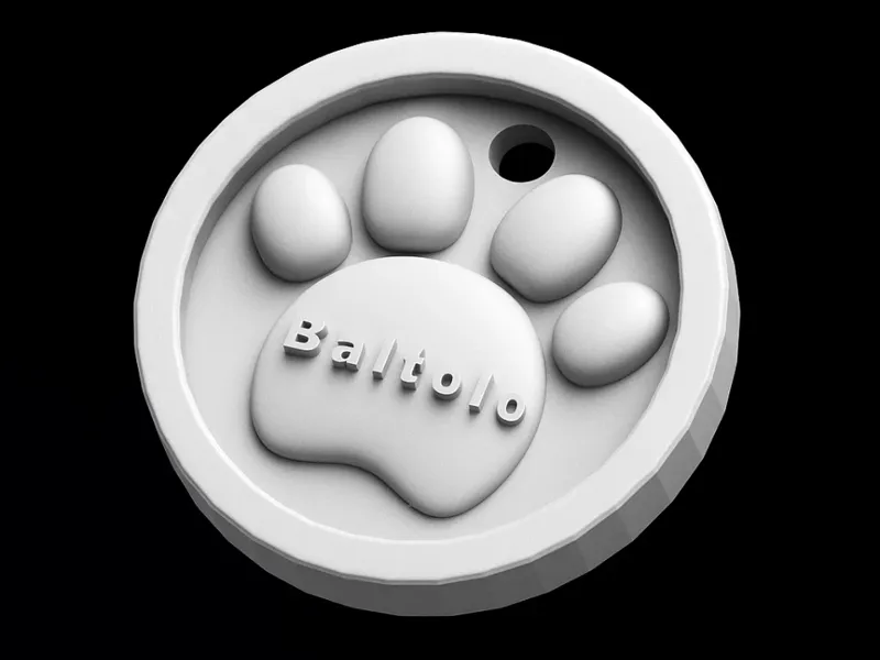 Custom_Pet_Tag