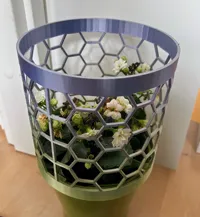 Cylindre alvéolé protège-plante — photo 2