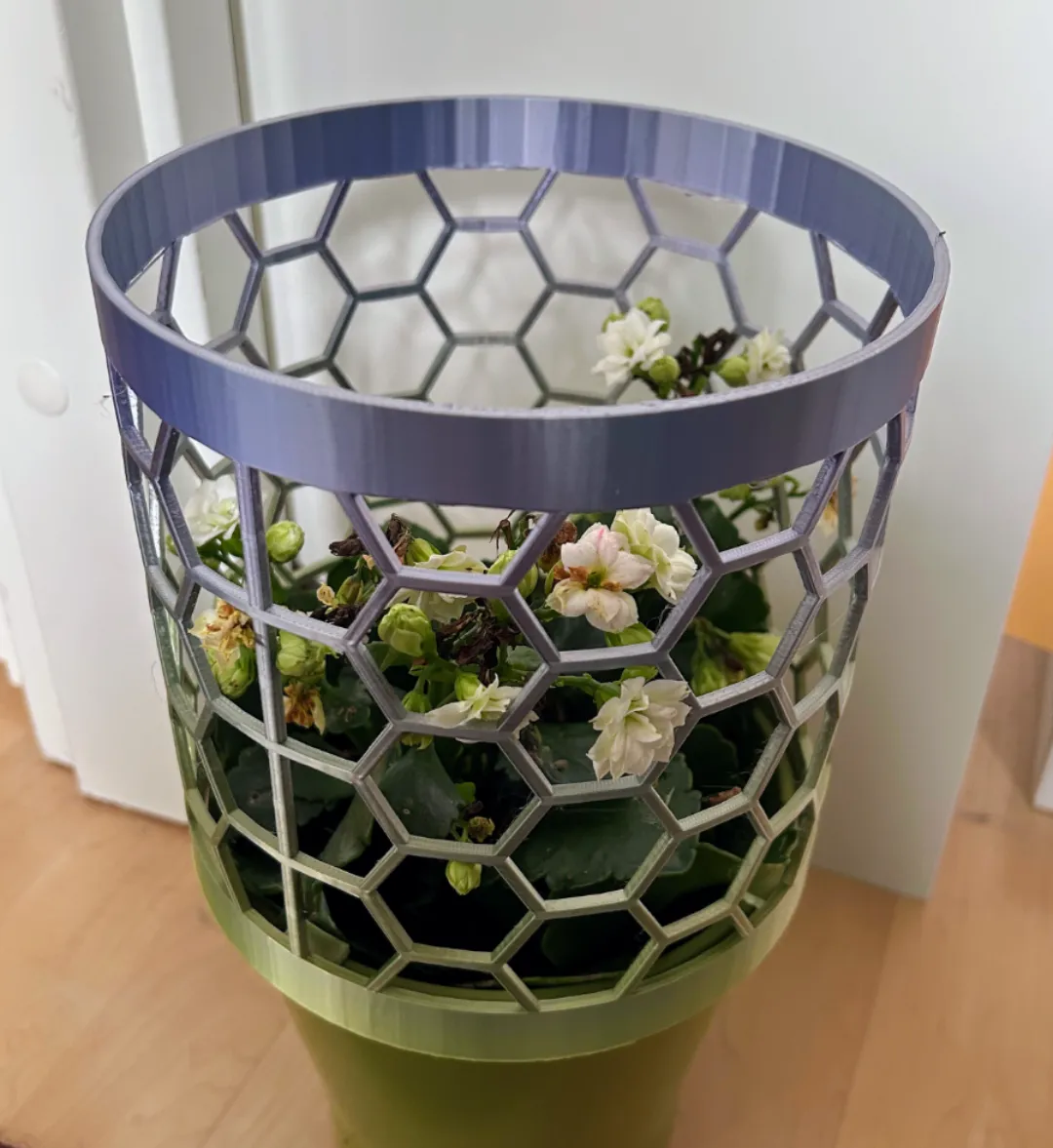 Cylindre alvéolé protège-plante