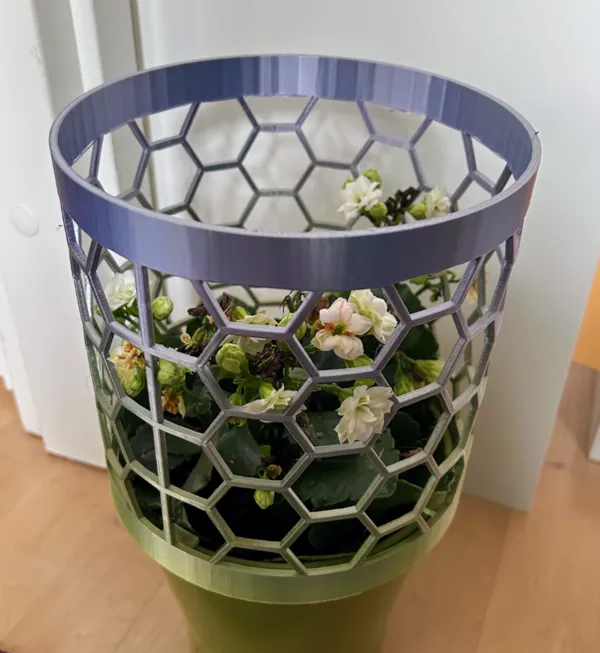 Cylindre alvéolé protège-plante