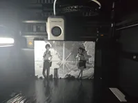 0.08mm layer, 2 walls, 100% infill
