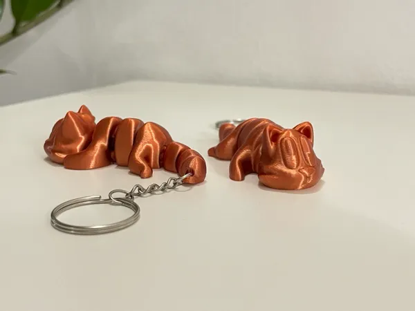https://makerworld.bblmw.com/makerworld/model/US13a736cdb99692/design/2024-10-10_7a91bf8ddd4f8.jpg