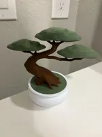 Single Color, No AMS