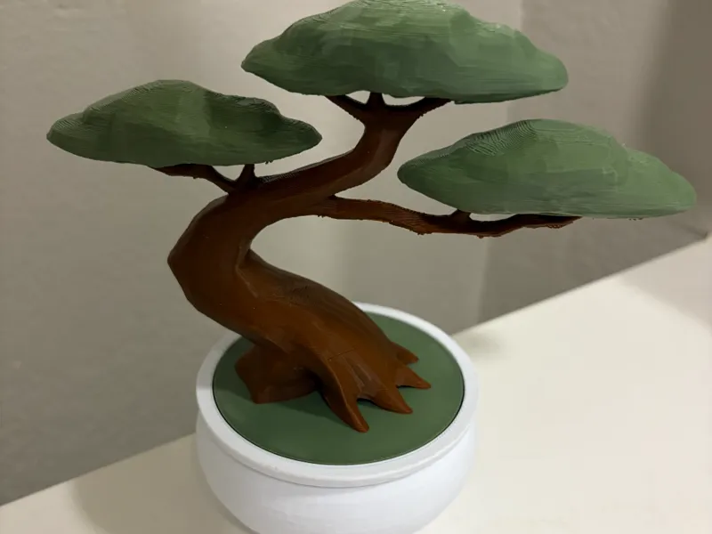 Bonsai Tree Container