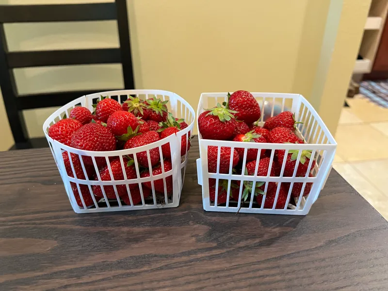 Fruit Basket