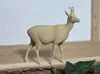 Chamois