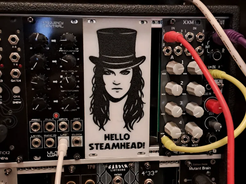 RoseTheHat 12HP Eurorack Blank Panel Modularsynth