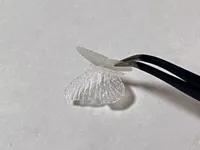 0.08mm 层高, 1 层墙, 15% 填充