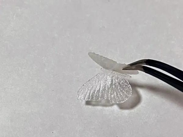 https://makerworld.bblmw.com/makerworld/model/US13af60732b9310/design/16c3d9700466628f.jpg