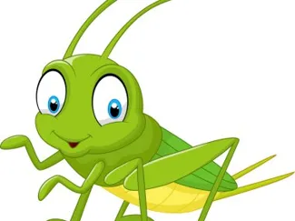 Cricket flexi keychain