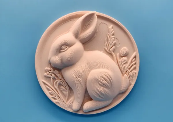 https://makerworld.bblmw.com/makerworld/model/US13b28ec0d33c75/design/2025-04-01_eje7r6adivlm.jpg