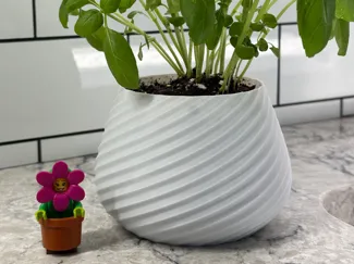 Plant Pot