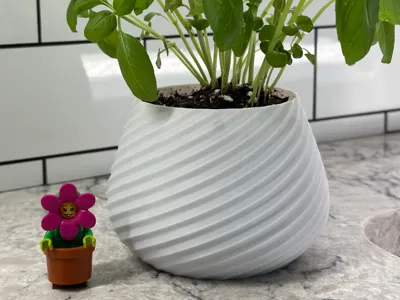 Plant Pot