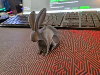 0.08mm layer, 2 walls, 5% infill