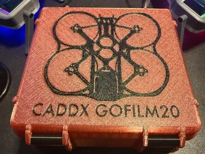 CADDX Gofilm20 Travel Box