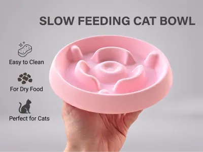 Slow Feeding Cat Bowl
