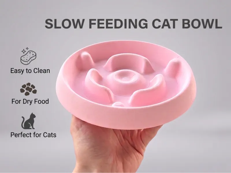 Slow Feeding Cat Bowl
