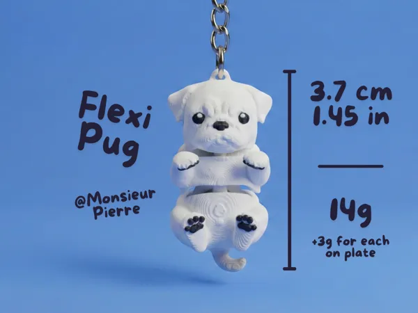 https://makerworld.bblmw.com/makerworld/model/US13c24672826b22/design/e1440163120ab396.png