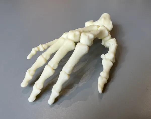 https://makerworld.bblmw.com/makerworld/model/US13c39fb062ce9e/design/2024-08-05_99765311ccd63.jpg