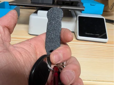Keychain for shopping cart