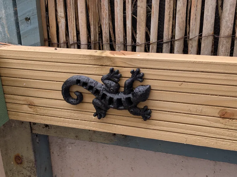 gecko wall art