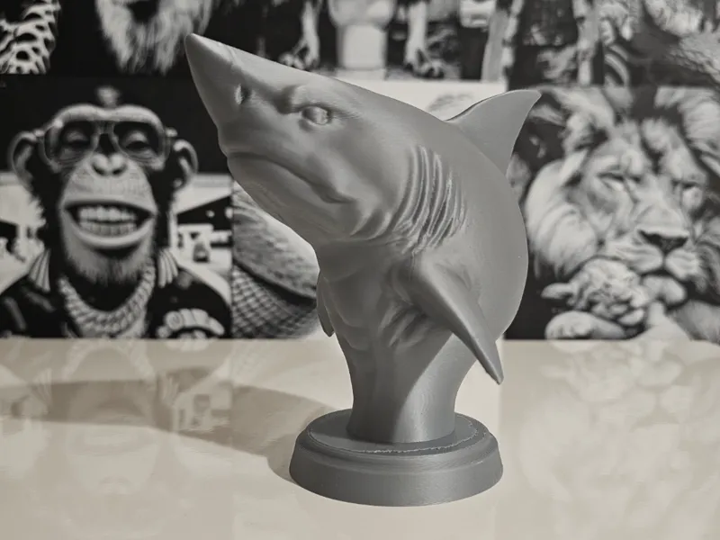Busto Tubarão