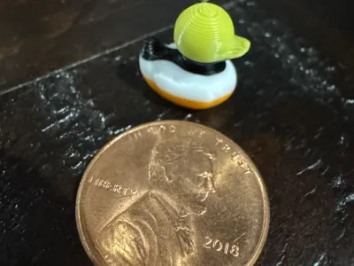 Ams duck test print *QUICK ONLY 17 minutes and 3g*