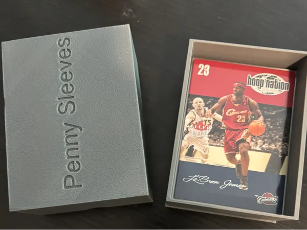 Boîte de rangement pour cartes protégées